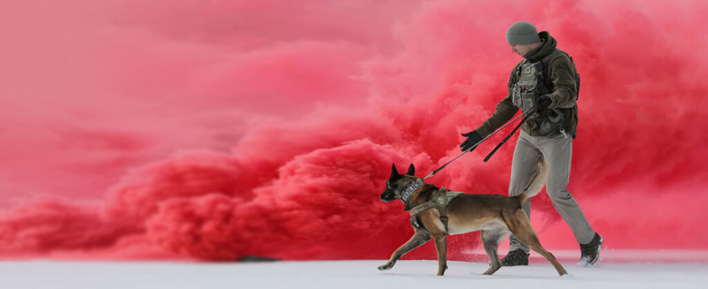 Expert Dog Handler for Crime Scene Tracking Pakistan