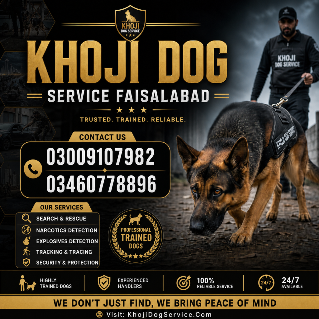Khoji Dog Service Faisalabad - Best Army Dog Center and Tracker Dogs