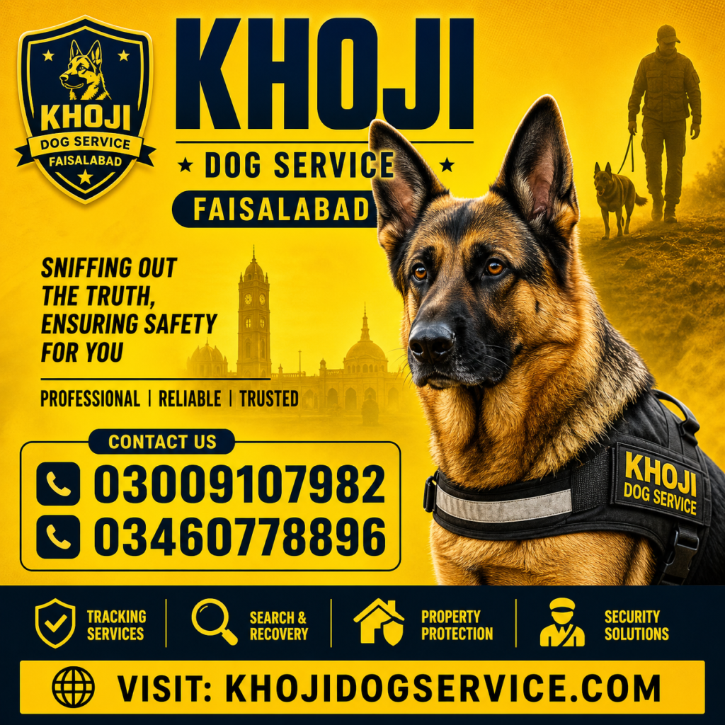 Khoji Dog Service Faisalabad - Professional K9 Sniffing and Tracking Services
